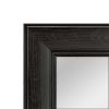 Over-the-Door Mirror with Hardware, 17X53 IN, Black Finish